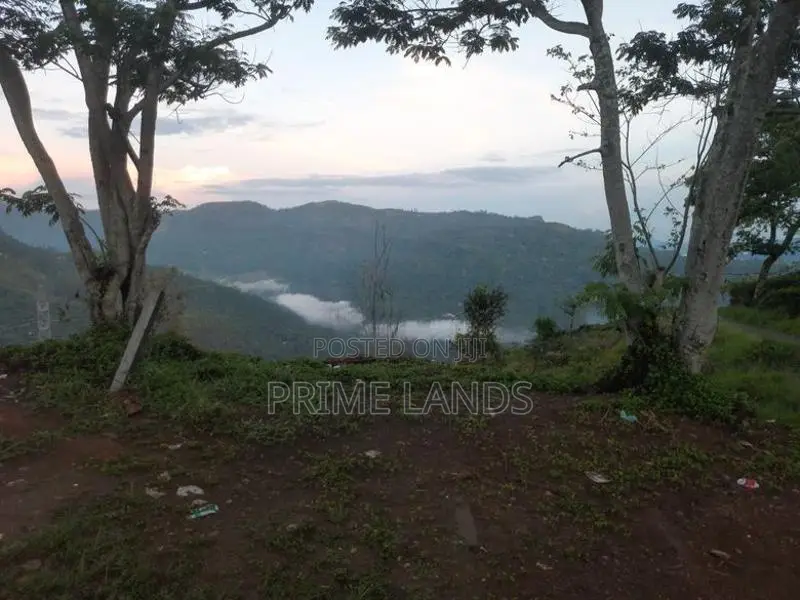 Valuable Land for Sale in Pudaluoya