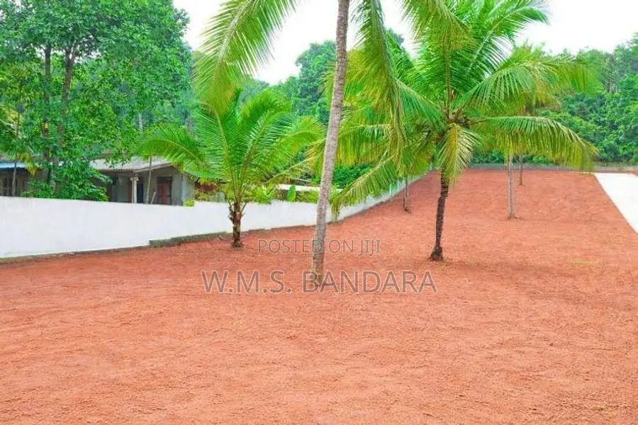 Near Dambadeniya Town Area Land for Sale P6