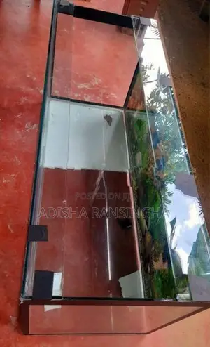 48×18×20 Brand New Fish Tank
