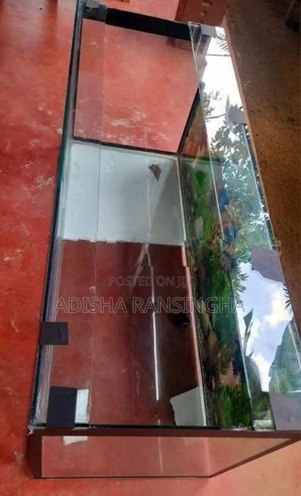 48×18×20 Brand New Fish Tank
