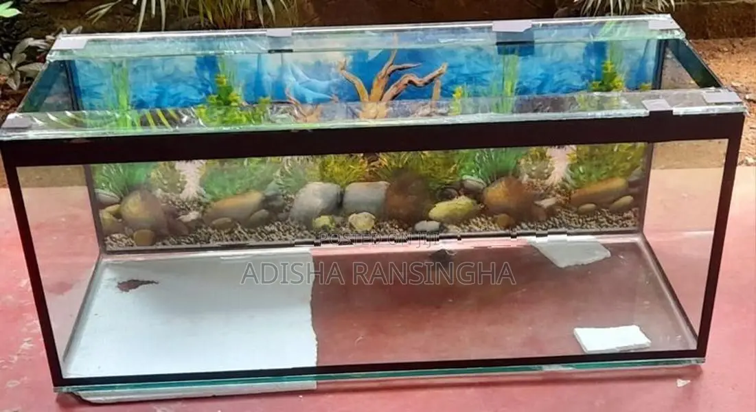 48×18×20 Brand New Fish Tank