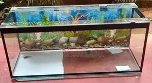 48×18×20 Brand New Fish Tank