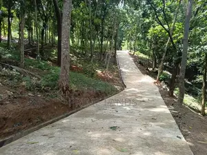 Valuable Land for Sale in Galagedara