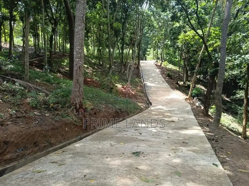 Valuable Land for Sale in Galagedara