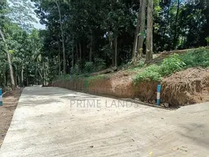Valuable Land for Sale in Galagedara