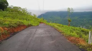 Valuable Land for Sale in Pudaluoya