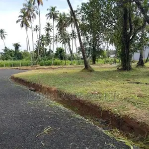 Land for Sale in Pellandeniya