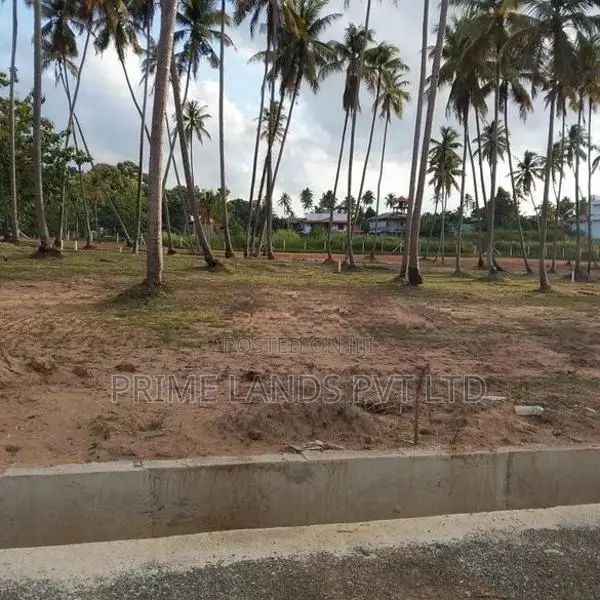 Land for Sale in Pellandeniya