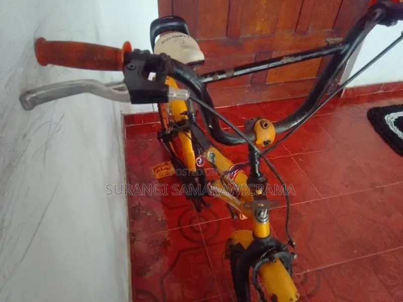 Lumstar Bicycle