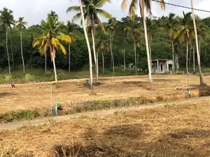 Narammala Land for Sale