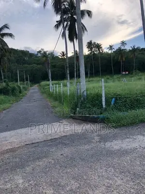 Narammala Land for Sale