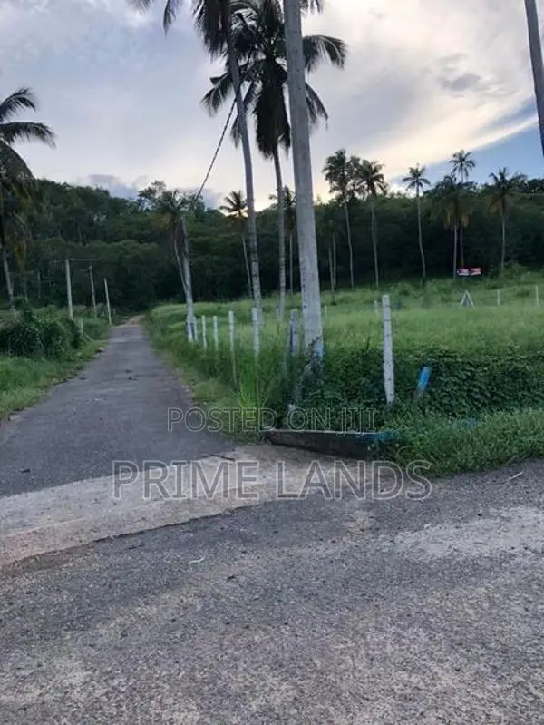 Narammala Land for Sale