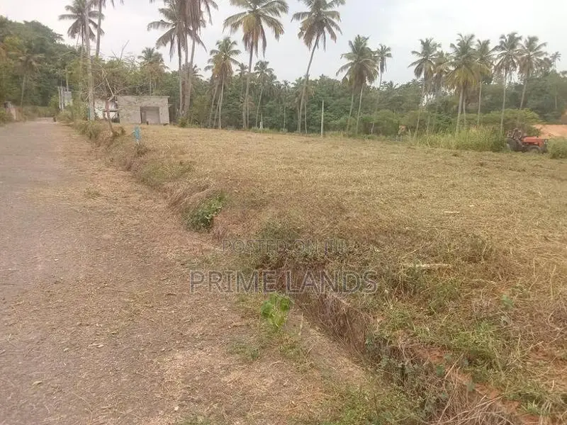 Narammala Land for Sale