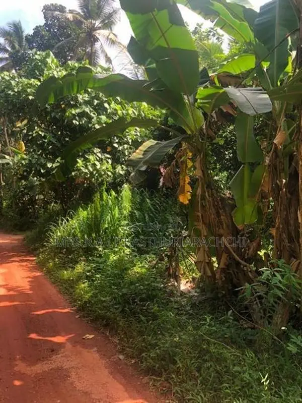 වටිනා ඉඩමක් විකිණීමට – පහලමුල්ල, ගොඩගම, එල්ලක්කල