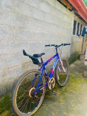 Lumala bicycle