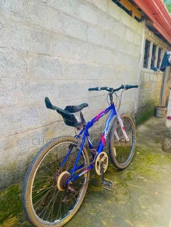 Lumala bicycle
