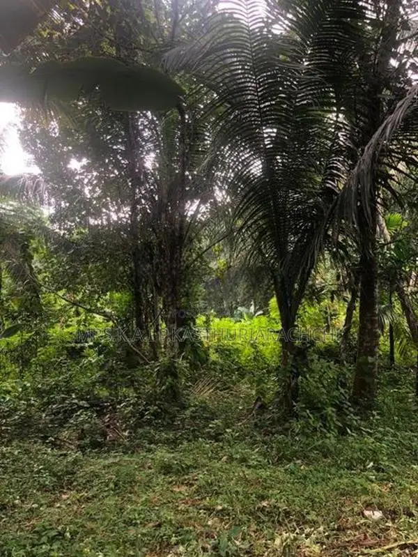 වටිනා ඉඩමක් විකිණීමට – පහලමුල්ල, ගොඩගම, එල්ලක්කල