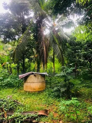 වටිනා ඉඩමක් විකිණීමට – පහලමුල්ල, ගොඩගම, එල්ලක්කල