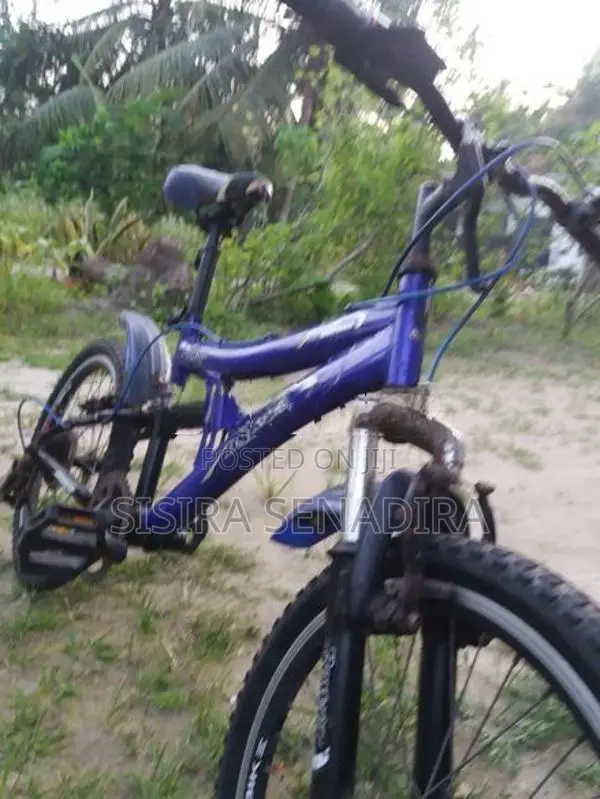 Kids Bicycle