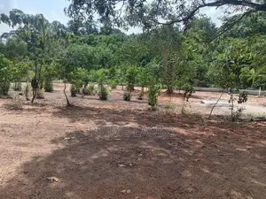 අම්බලන්ගොඩ නගර සභා සීමාවෙන් ඉඩම