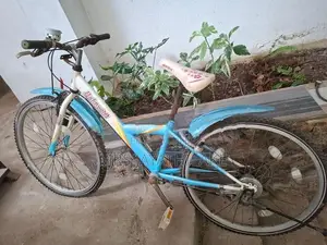 Balmygirl bicycle