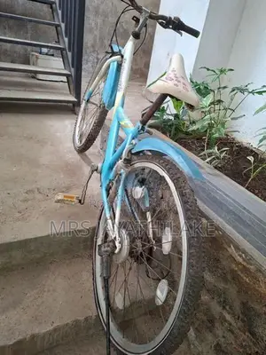 Balmygirl bicycle