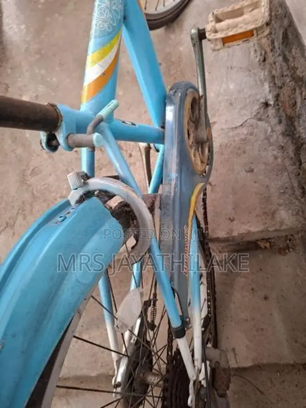 Balmygirl bicycle
