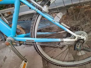 Balmygirl bicycle