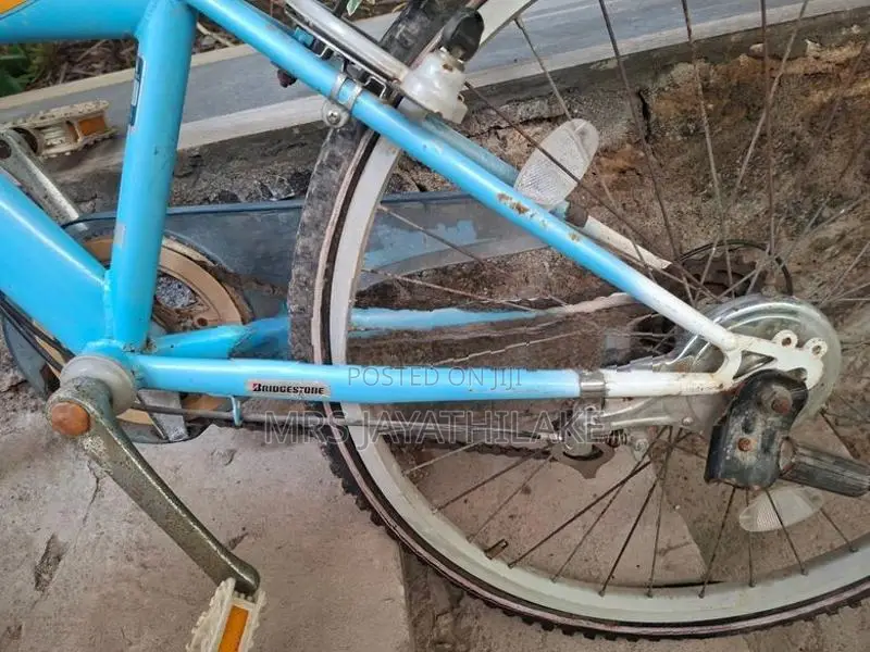 Balmygirl bicycle