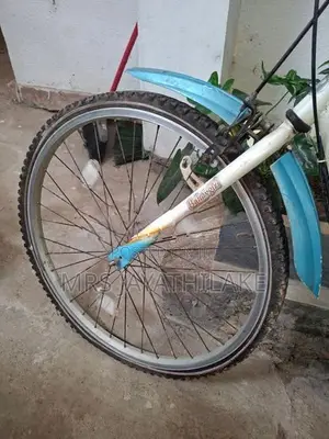 Balmygirl bicycle