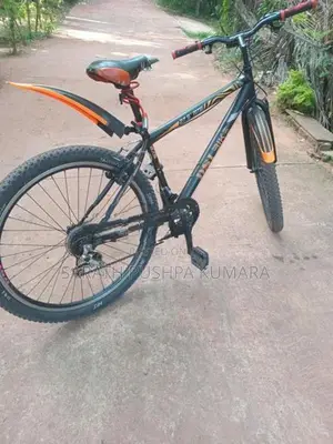 Dsi Bike