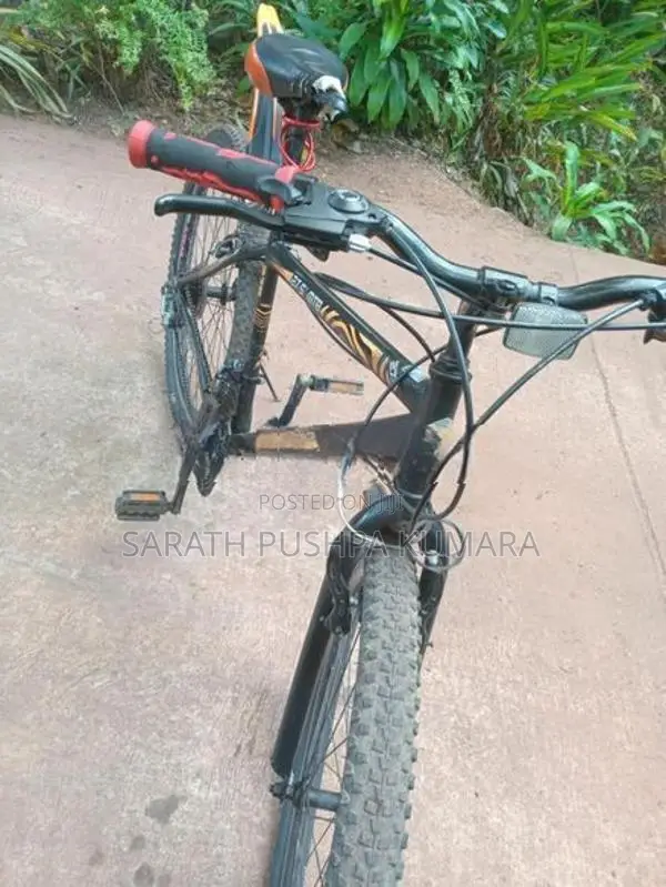 Dsi Bike
