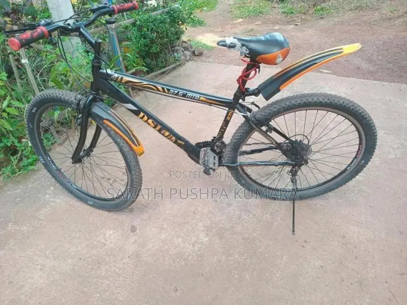 Dsi Bike