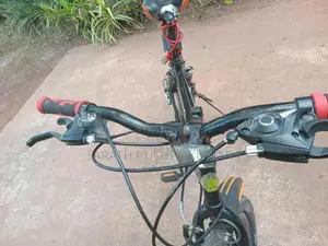 Dsi Bike