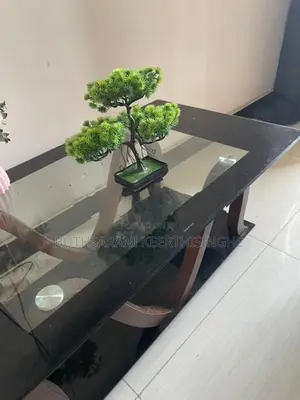Well-Maintained Sofa Set