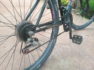 Dsi Bike