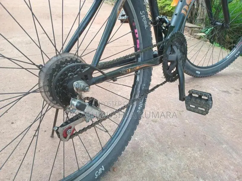 Dsi Bike
