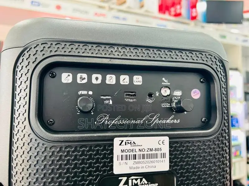 Karaoke Bluetooth Speaker with Wireless Mic New - ZIMA ZM-805