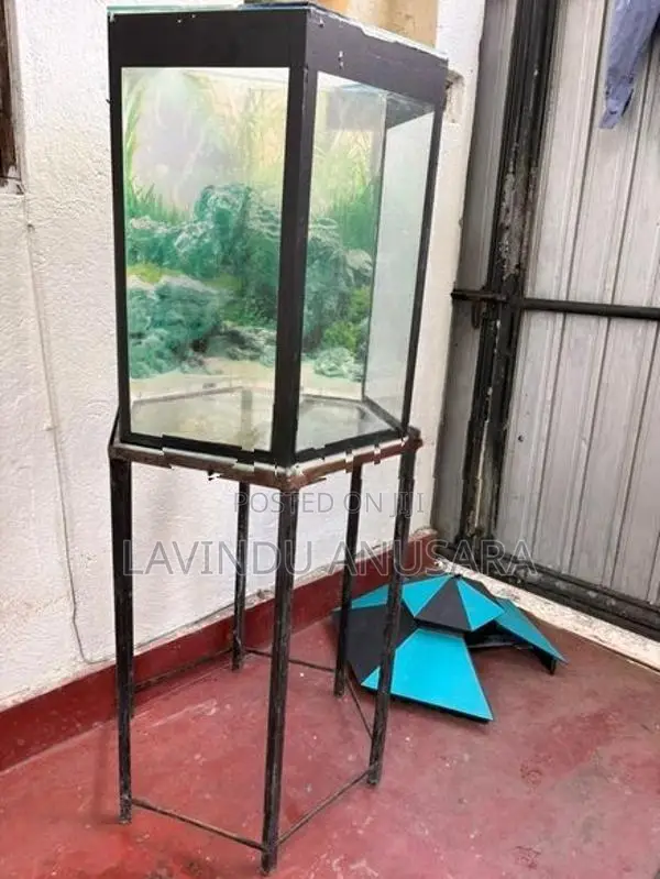 Fish Tank with Iron Stand