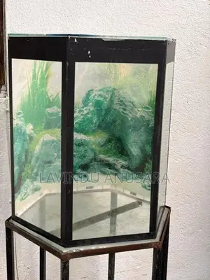 Fish Tank with Iron Stand