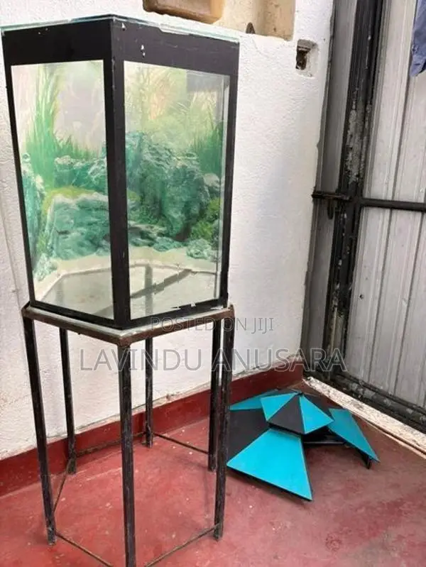 Fish Tank with Iron Stand