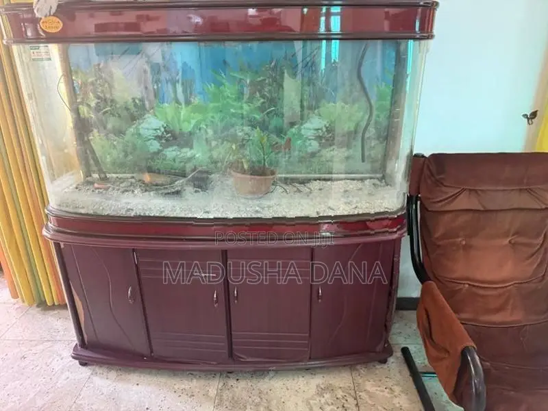 Fish Tank