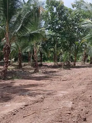 අනුරාධපුර නගරයට ආසන්නව සින්නක්කර බිම් කොටස්