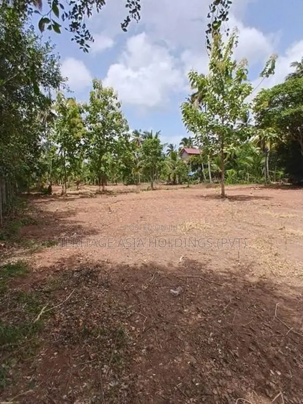 අනුරාධපුර නගටයට අතේ දුරින් සින්නක්කර බිම් කොටස්
