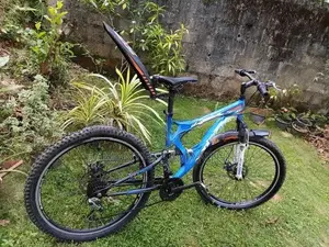 පාපැදියක්
