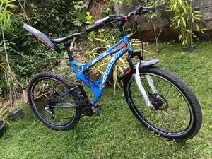 පාපැදියක්