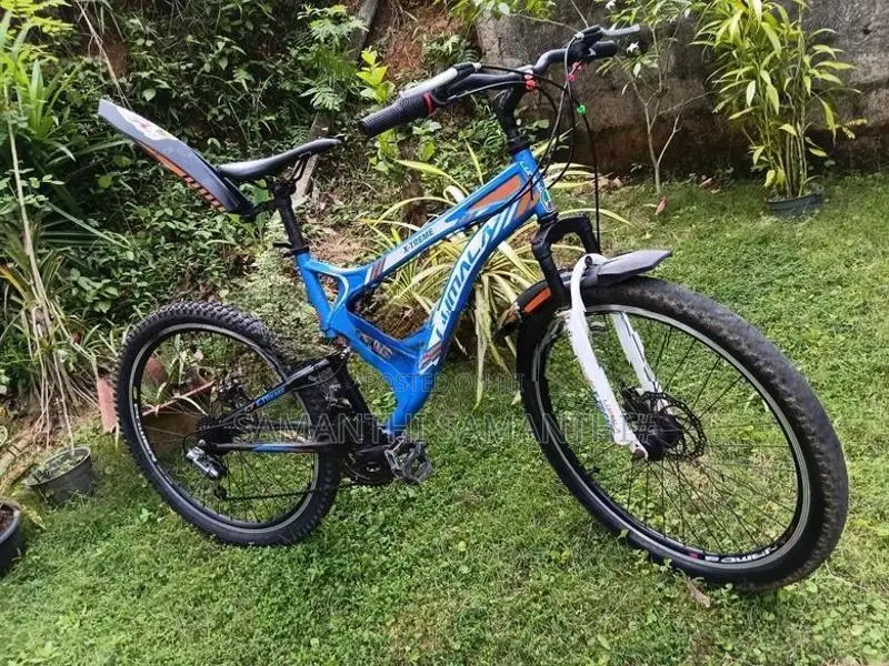 පාපැදියක්