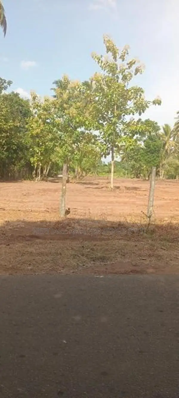 පුජා නගරය ලගින්ම ඉඩමක් විකිනිමට අනුරාධපුර