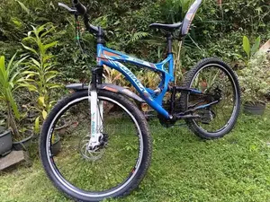 පාපැදියක්