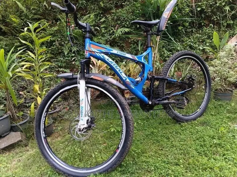පාපැදියක්